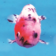 ポケットは90年代でいっぱい