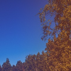 forest bump