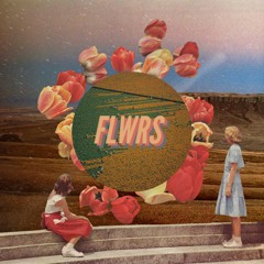 floridomi - flwrs [thx for 5k]