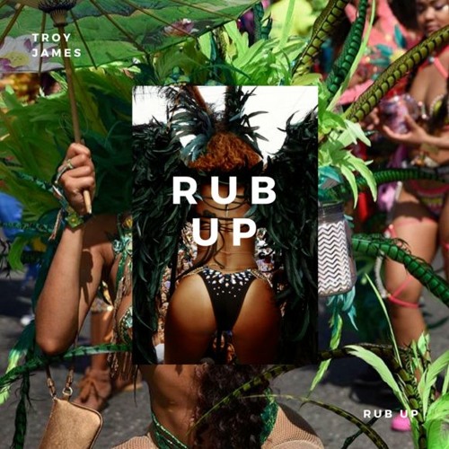 Troy James - Rub Up (Prod. Troy James)