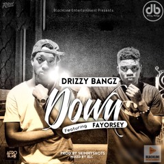 Down ft Fayorsey(mixed by XLC)