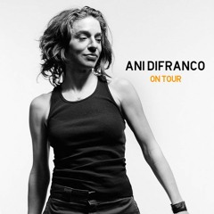 Ani Difranco Interview