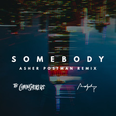 The Chainsmokers | Somebody (Asher Postman Remix)