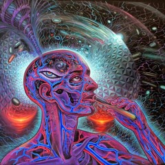 AYAHUASCA: LA SOGA DE LA VIDA