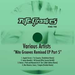 KNG 759 Various Artists - Nite Grooves Remixed EP Part. 5