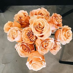 I'll never let you go -Michael Davila feat Josephine Priscilla (Prod. Panji Ndrio)