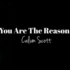 Calum Scott _ you are the reason (cover)