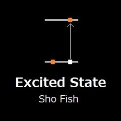 Sho Fish - Excited State(Original Mix)[2014]