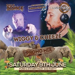 Pure 4th Birthday - Cheeze vs Wiggy Zoo Party Promo Mix