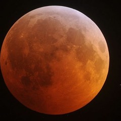Across The Universe MSL 2012 (Beatles Cover)