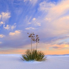 الشيخ محمد البارقي. وَلَا تَحْسَبَنَّ اللَّهَ غَافِلًا عَمَّا يَعْمَلُ الظَّالِمُونَ