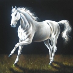whitehorse0.5 (Prod. Louis Maui)