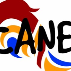 Canelazo 2018(No hay camino sin piedras, Toca la vida, Stadtkind)