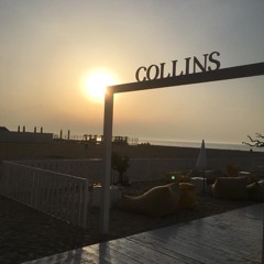 Cosmo @ Collins Beach (chapter 1)