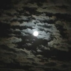 Lunar Orbit