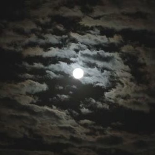 Lunar Orbit