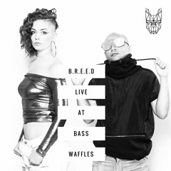 B.R.E.E.D live at Bass Waffles (LA)