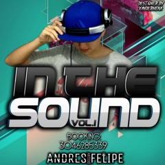 IN THE SOUND (ANDRESFELIPEDJ)