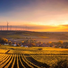 Road trip mix (NIGHT)