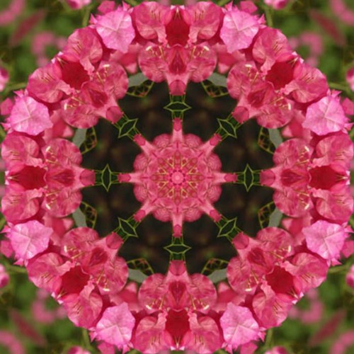 Sacral Chakra Tibetan Singing Bowls with Ocean sounds