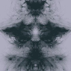 Boson Spin - Dellumme