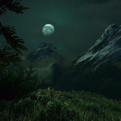 Lost in the Wilderness