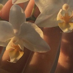 𝑓𝑒𝑒𝑙 𝑎𝑙𝑖𝑣𝑒