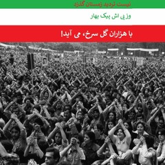 گل مینای جوان