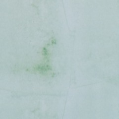 Cleaning My Garage : (Ear Candy)