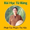 Kính Pháp Sống Ở Rừng Bài Học 01 Từ Rừng Mp3