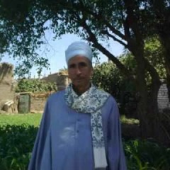 الشيخ فايز الصدار البلصفورى - النمل