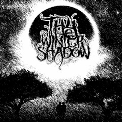 Thy Winter Shadow - Almighty Crusher Of Souls(Instrumental PrePro)