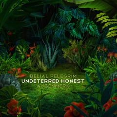 Undeterred Honest | Belial Pelegrim + Augenmerk
