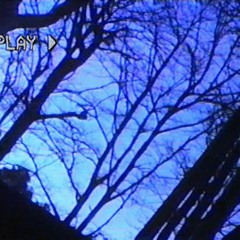 Dizi & Junk - BLACK SOUL (PROD. ROPATI)