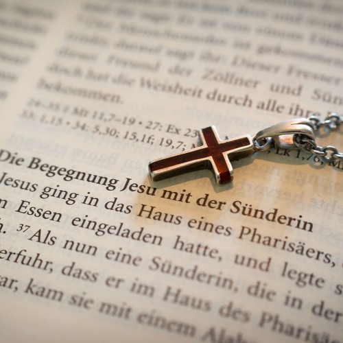 It's A Wrap Freestyle - POC