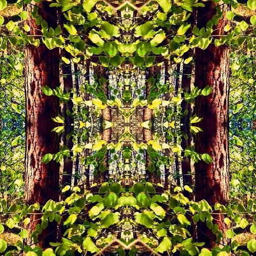 Smaragd of Temper (3:00 preview)