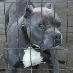 STONE AGE MIX TAPE FREESTYLE at STUDIO (T.B.P) YAKWII