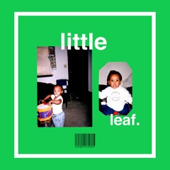 Little Leaf ft. lil mitten (prod. CABIN COY)