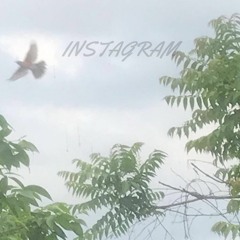 Freeworld Flaco - Instagram (@Flaco1x)