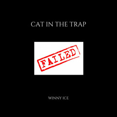 Cat In The Trap