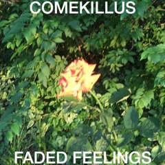 FADED FEELINGS (PROD. 4TH HORSEMAN.)