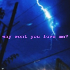 why wont you love me? [prod. TREETIME]