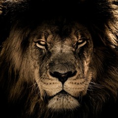 Godmode & Kase - Jah's Army (Ft Lion Rezz)