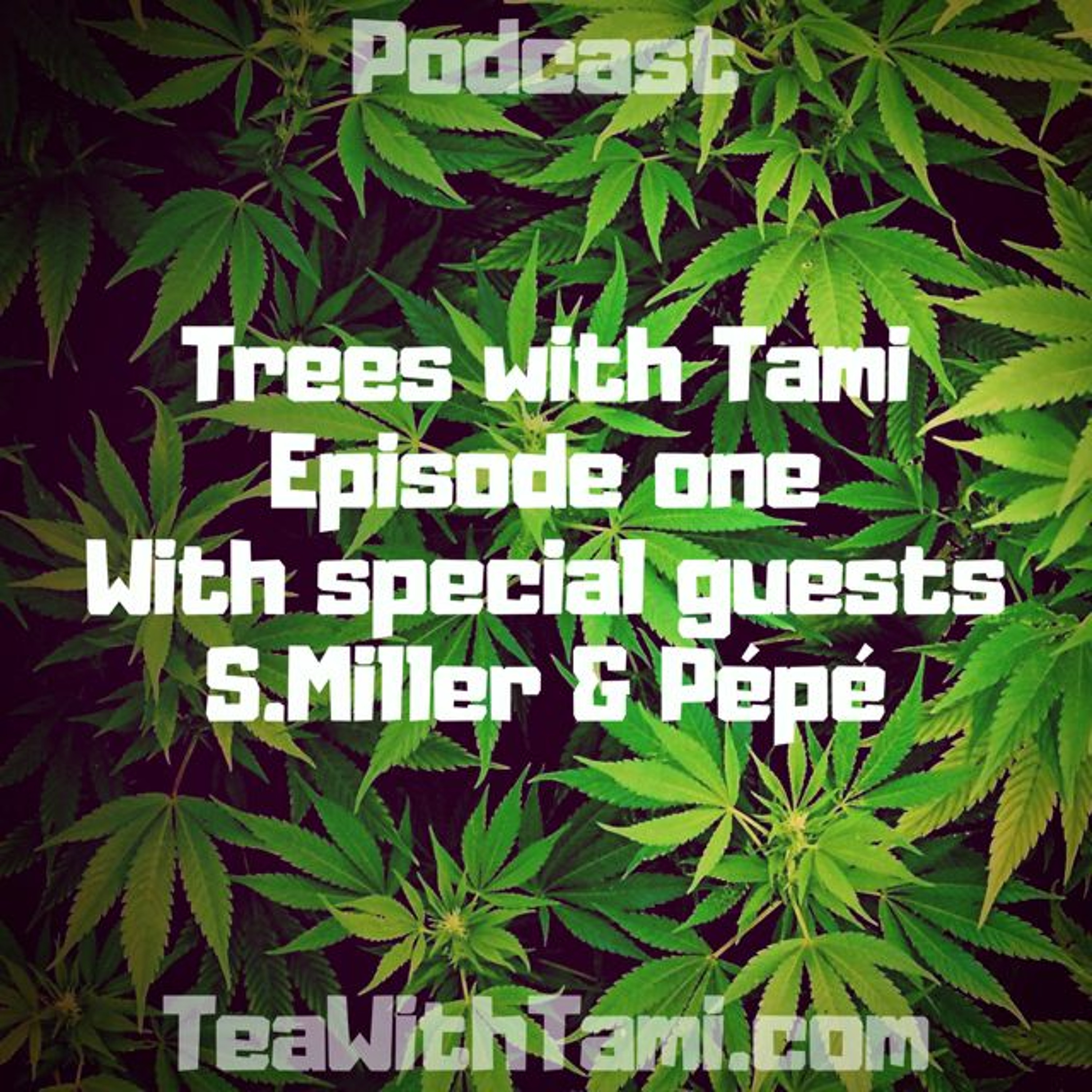 Tea With Tami