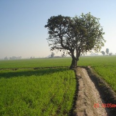 Pardesi_Dhola