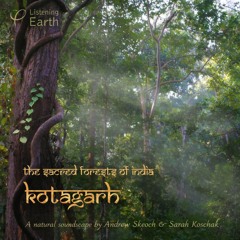 The Sacred Forests of India - Kotagarh: Album Sample