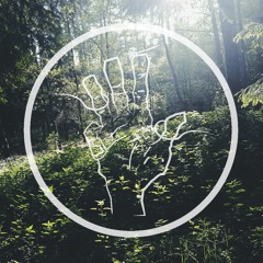 Lauv - Never Not (TheFourFaces Remix)