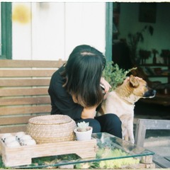 [tổ chim] Chuyện Ruồi - Những Cô Gái Ngại Ngùng (cover)