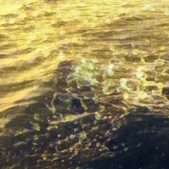 Vivid