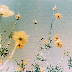 Flower 🌻